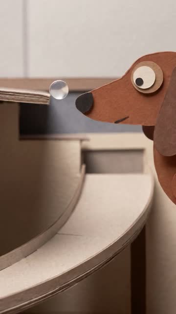 Dog Treats Reel